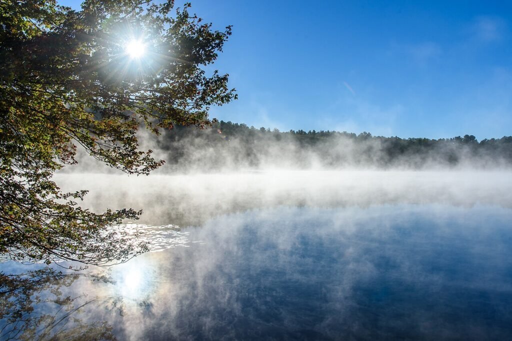 Cold foggy morning landscape