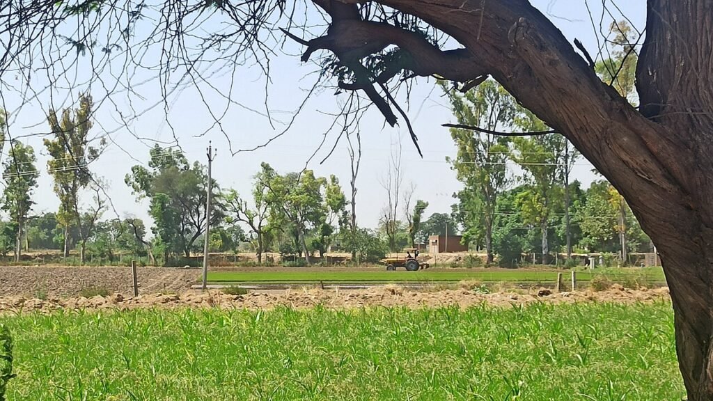 Farmer working in the field with a tractor