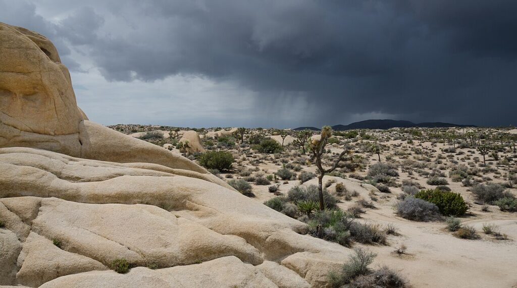 What Is the Difference Between Weather and Climate? Approaching thunderstorm over Joshua Tree National Park