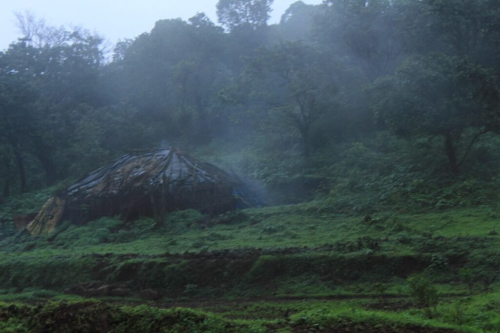 Rain Coming Soon? Latest Weather Forecast Monsoon rain landscape in Maharashtra