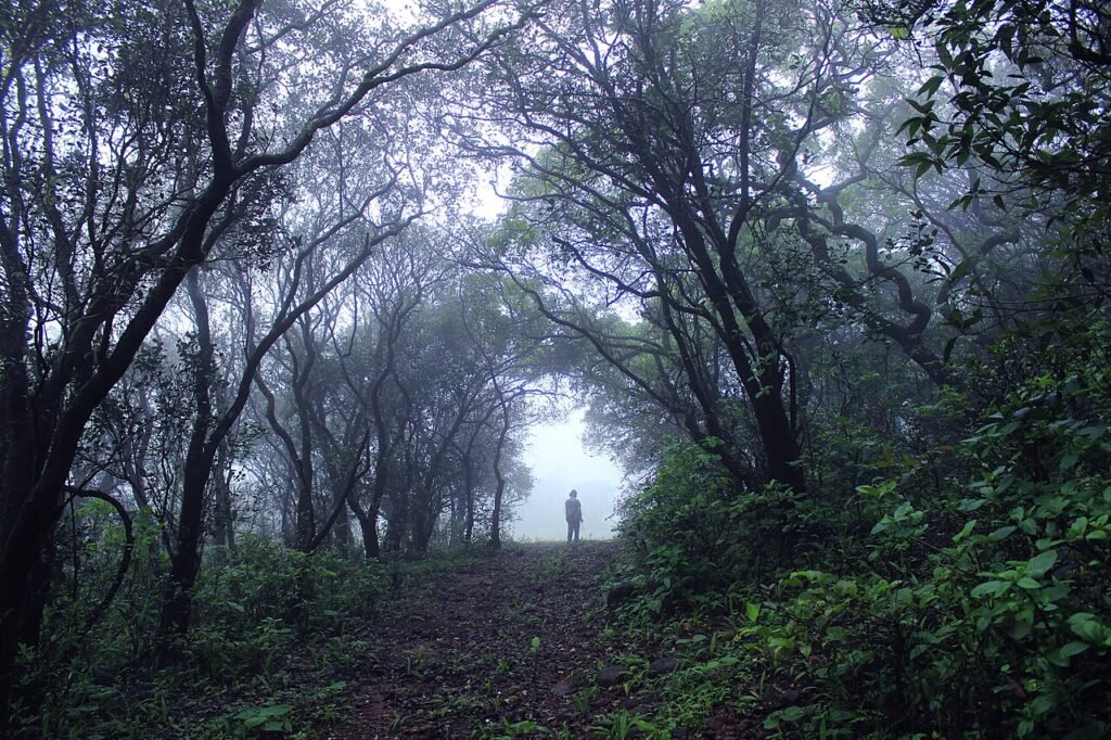When Is the Rain Coming? Check Now Rain in the Indian monsoon landscape
