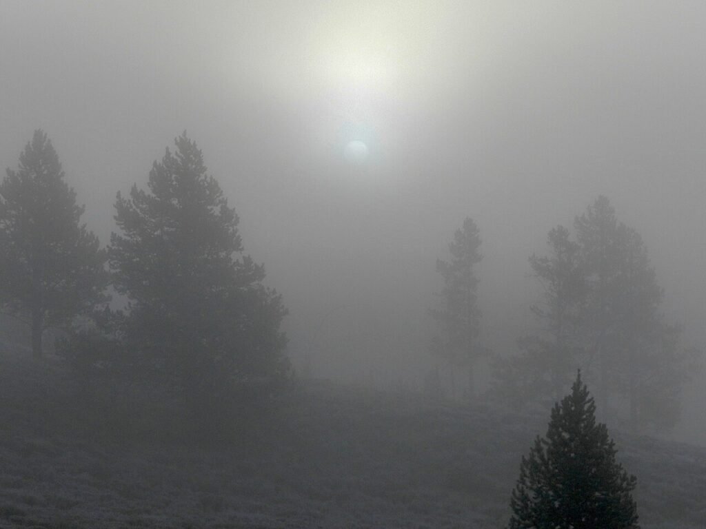 Heatwave Alert: Cities to Watch Sun burning through fog on a cold morning