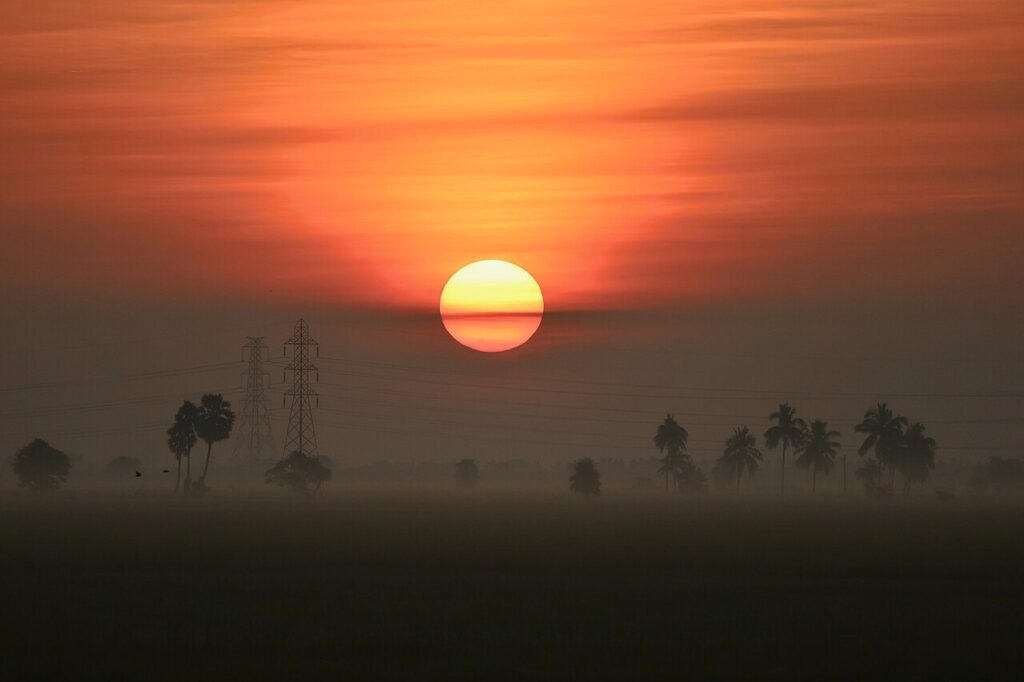 Sunrise over paddy fields in Andhra Pradesh