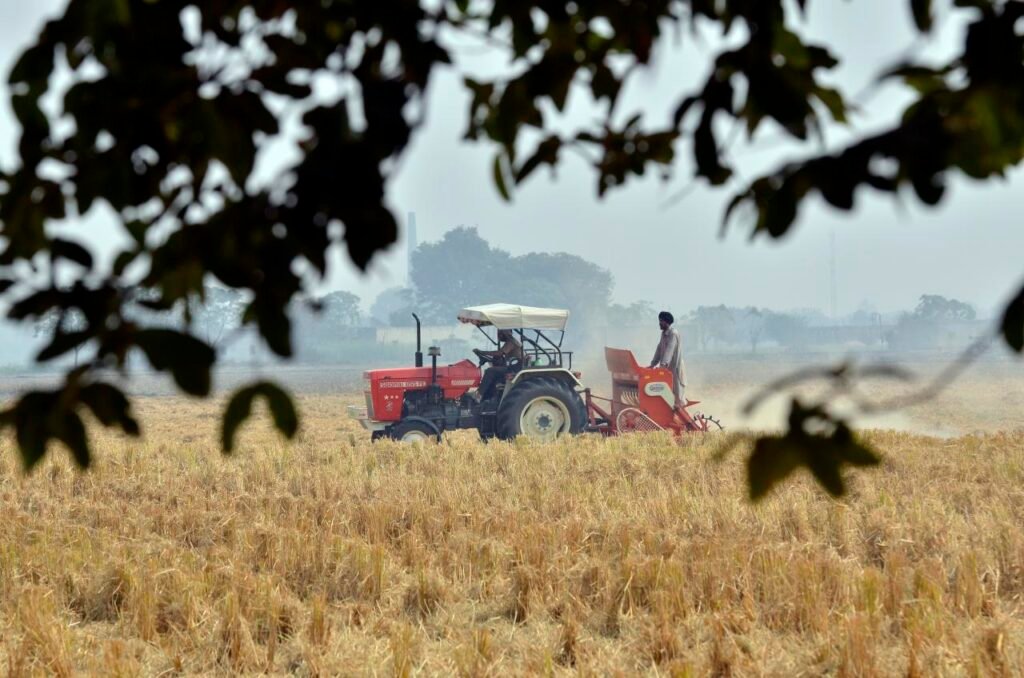 Farmer preparing a field for wheat crop in Punjab, India